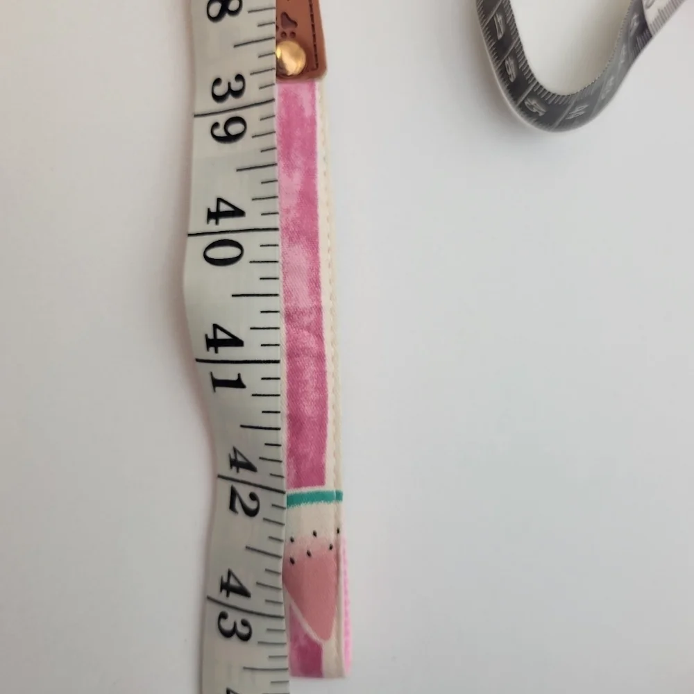 Dog harness with leash watermelon